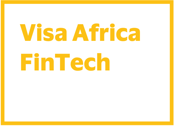 Visa Africa FinTech Accelerator